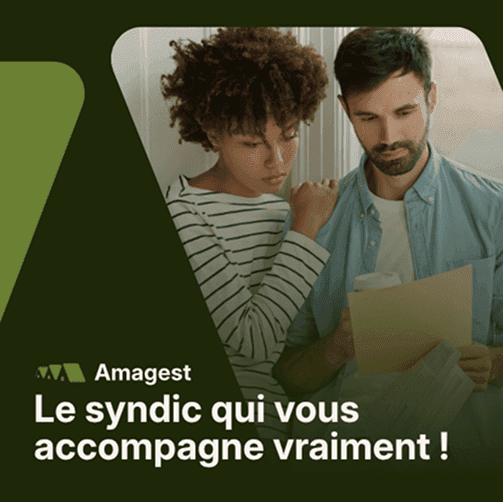 Amagest, détail du projet